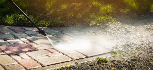 Best Dumpster Area Cleaning  in Murillo, TX